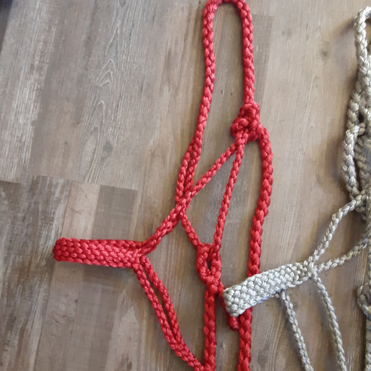 Mule Tape Halter w/ Lead Line