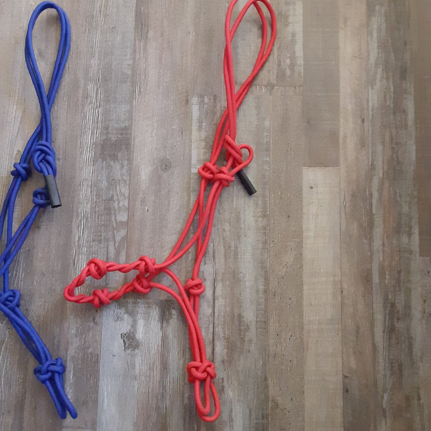 Cowboy Halter w/ Knotted Nose