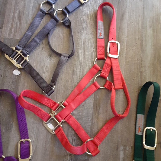 Medium Horse Halter