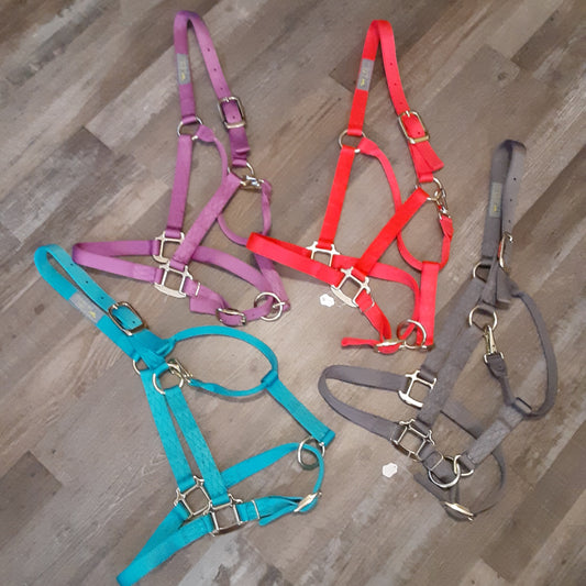 Large Double Stitch Halter w/ Throat Latch